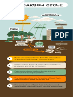 The Carbon Cycle