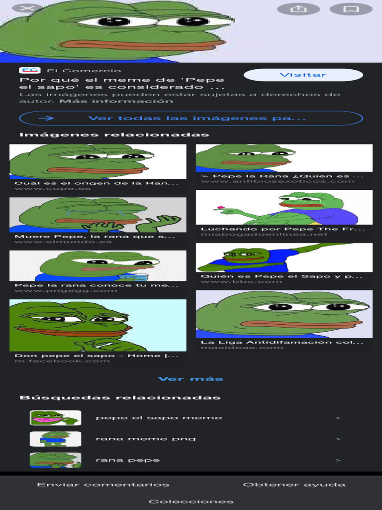 Fotos gratis : dulce, linda, verde, descanso, anfibio, rana de árbol,  relajación, figura, figurilla, vertebrado, gracioso, acostado, mundo  animal, relajado, Ranas, Fotografía macro 4512x3000 - - 692389 - Imagenes  gratis - PxHere, image size:768x1024