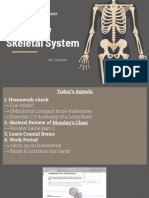 Nov 8_ The Skeletal System - 8 Cranial Bones