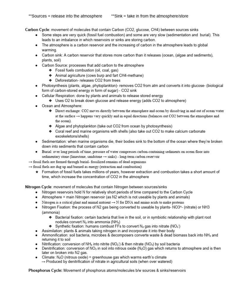 Understanding Biogeochemical Cycles | PDF | Carbon Cycle | Fertilizer
