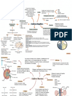 Mapas Conceptuales