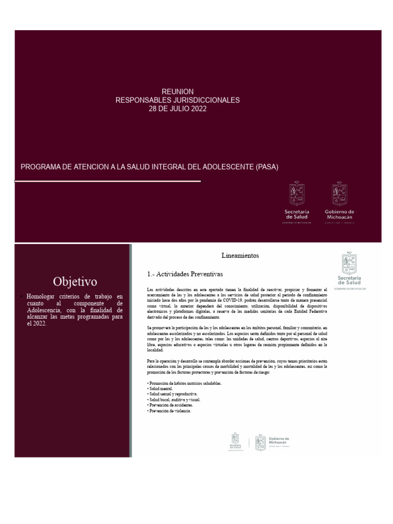 Programa de Salud Integral para Adolescentes | PDF | Adolescencia ...