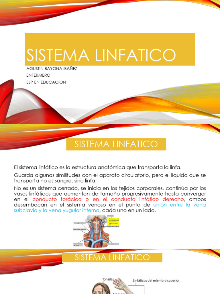 Sistema Linfatico Pdf Sistema Linfático Linfocitos
