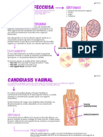 Mapas Ginecología 2