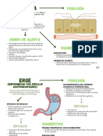 Mapa Gastro