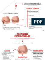 Mapa+Derm-2+(1)