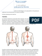 5.1 Ayuda para los Nervios