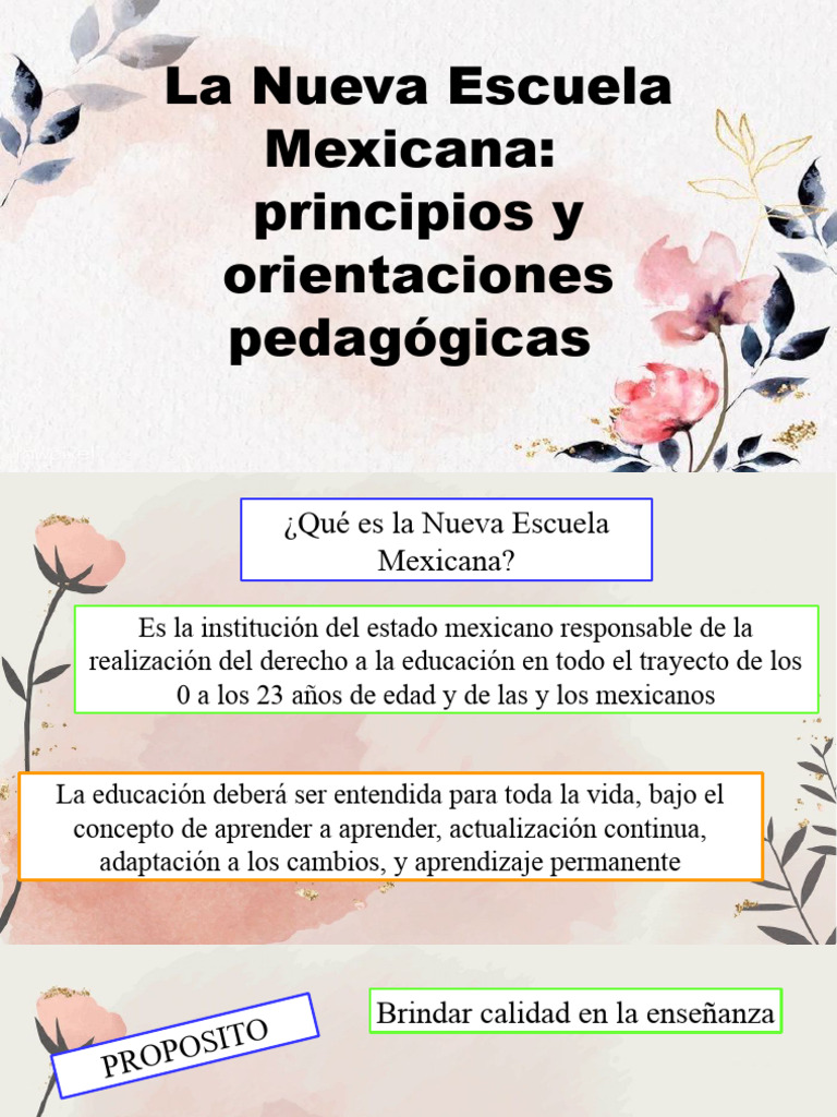 Principios de la Nueva Escuela Mexicana | PDF | Salud y bienestar