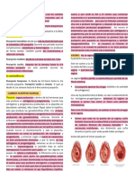 15 Resumenes Obs.