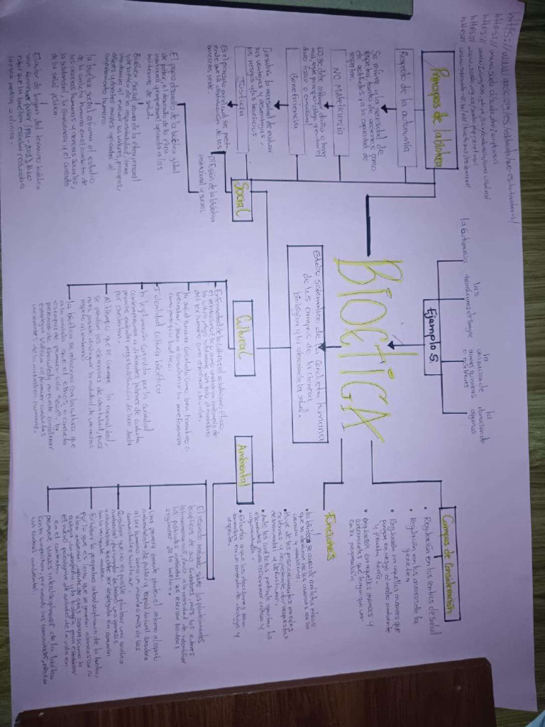 Mapa Mental 1 | PDF