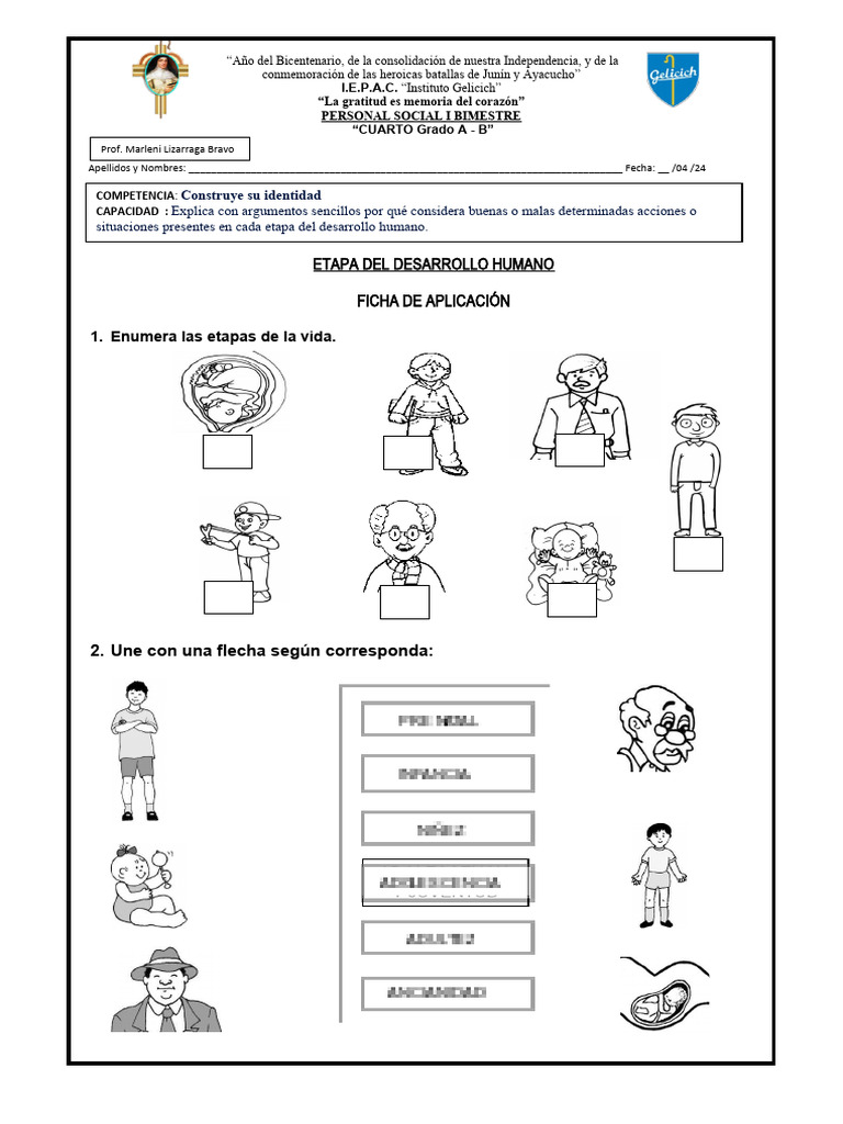 Actividades sobre las etapas del desarrollo humano | PDF | Reproducción ...