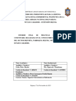 Informe Final Practicas Comunitarias 