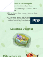 Celula Vegetal - Fisiología Vegetal