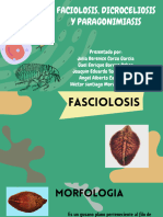Fasiolosis, Microceliosis y Barra