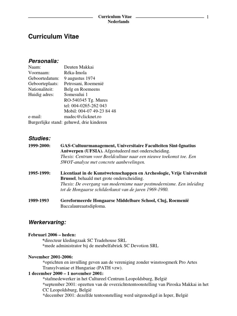 Curriculum Vitae Nederlands2 PDF