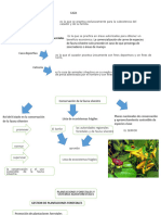 Diapos Puchito Agrario Modificado