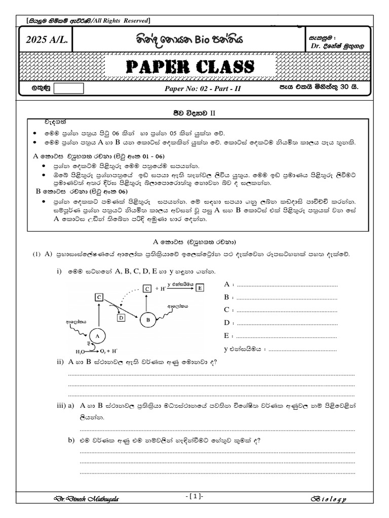 Sats Papers 2025 Spag