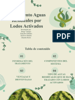 Tratamiento Aguas Residuales Por Lodos Activados