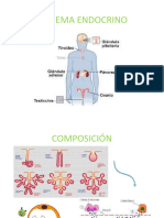 Sistema Endocrino