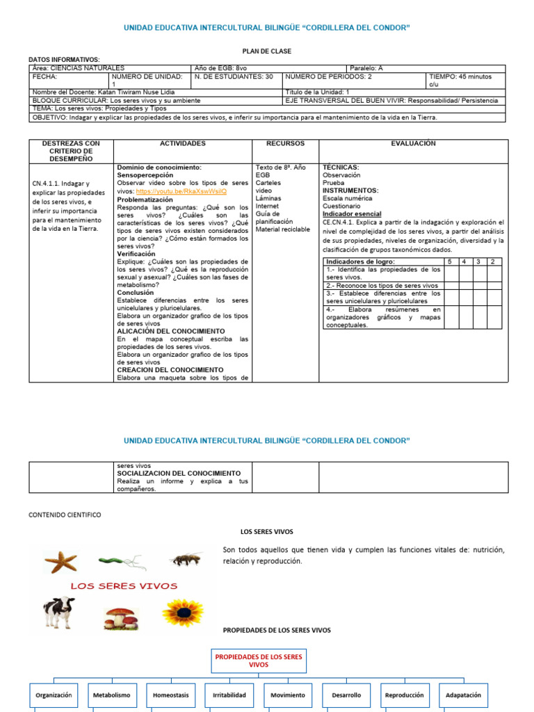 Plan de Clase 8vo | PDF | Sistema solar | Red alimentaria