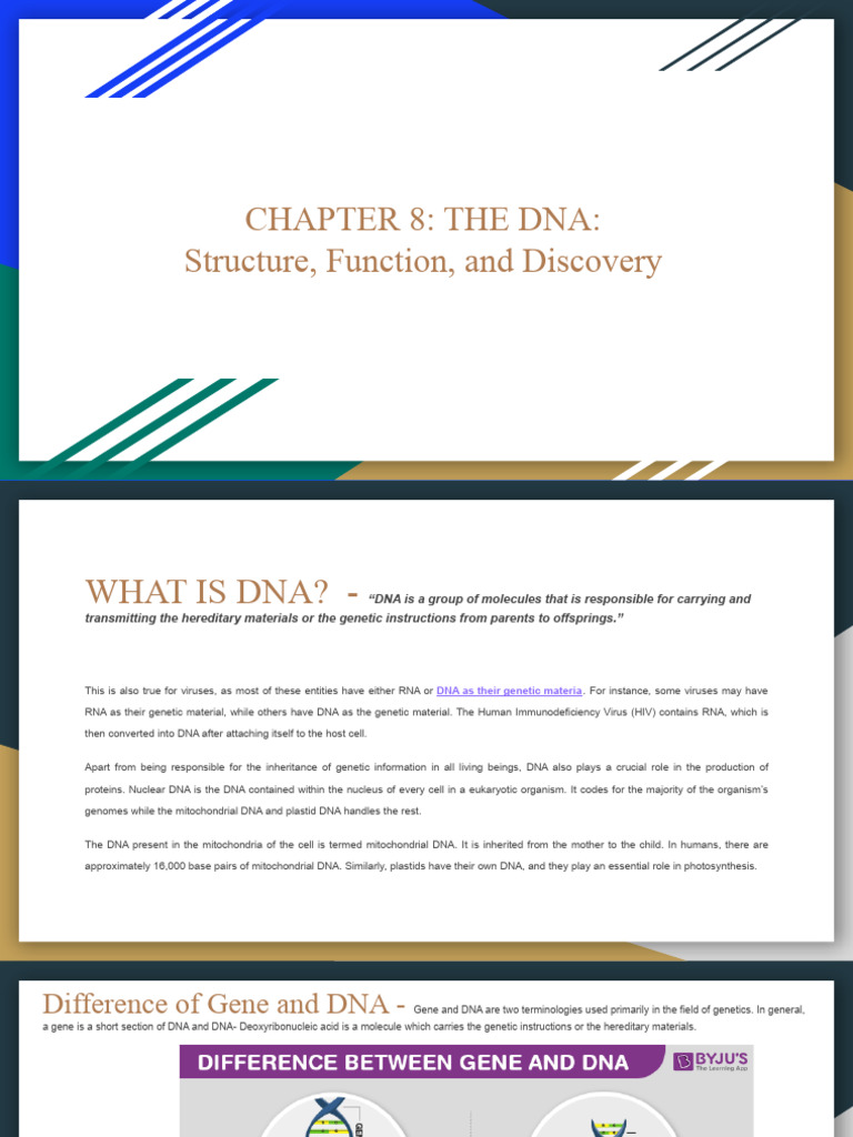 Understanding DNA: Structure and Functions | PDF | Dna | Dna Replication