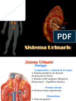 Sistema Urinario Cayetano