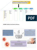 Patologías en El 1er Trimestre