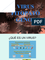 Virus