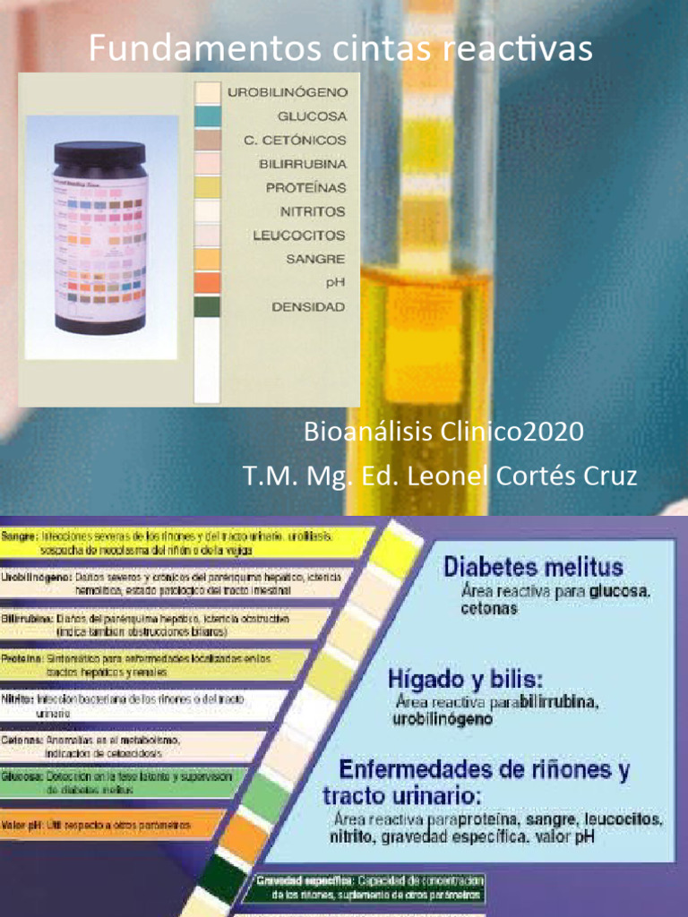 Fundamentos de Cintas Reactivas en Uroanálisis | PDF | Química