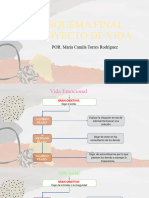 Proyecto de Vida