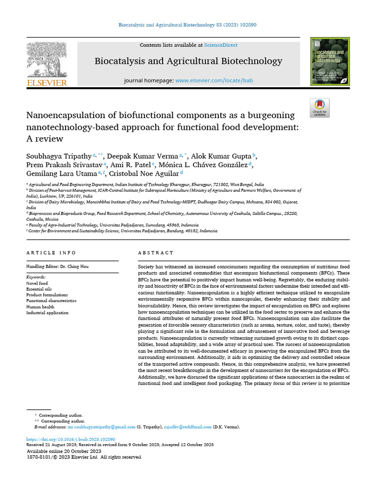Nanoencapsulation for Functional Foods | PDF | Emulsion | Lipid Bilayer