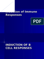 Induction of Immune Responses