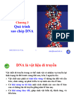 Chuong 3 Tính ổn định và biến động của DNA