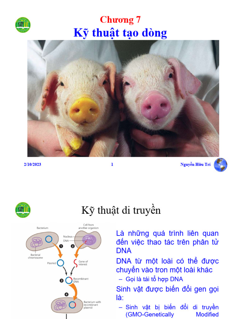 Chuong 7 Ky Thuat Tao Dong | PDF