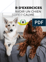 Le Cahier D Exercices Pour Avoir Un Chien Calme