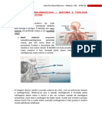 Aula 08 Anatomia e Fisiologia Nasossinusal 2020