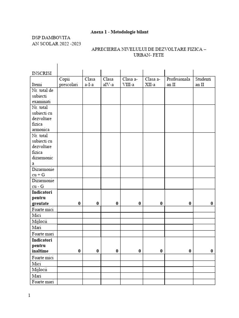 Formular Ex - Bilant | PDF