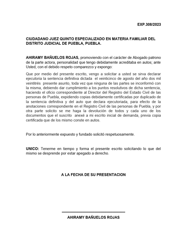 Sentencia Ejecutoria Familiar Puebla | PDF | Política | Derecho