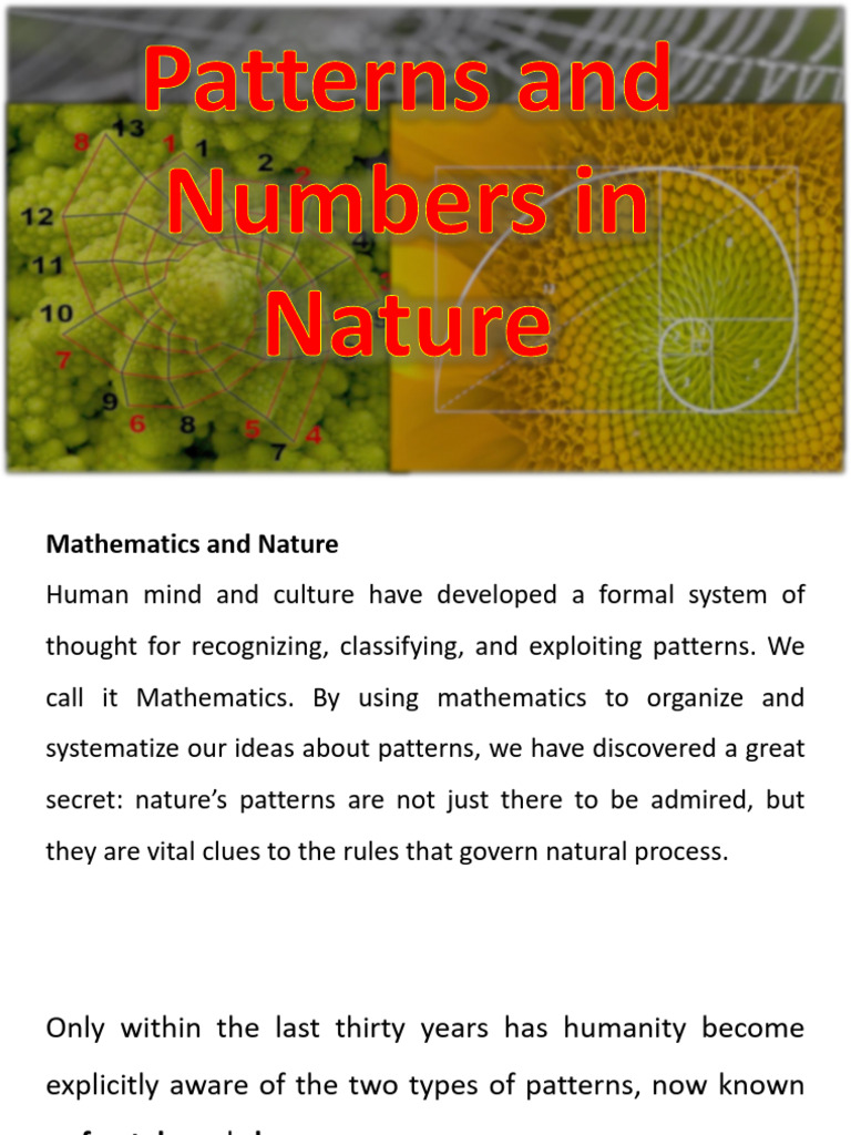 Patterns and Number in Nature and Math Language | PDF | Pattern | Sequence