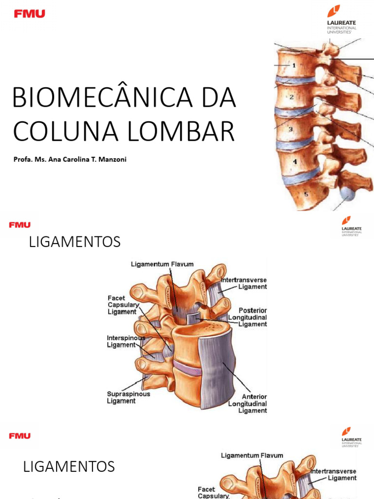 Biomecânica da Coluna Lombar e Sacroilíaca | PDF | Coluna vertebral ...