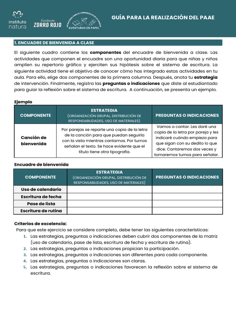 Guía para La Realización Del PAAE | PDF | Escritura | Literatura