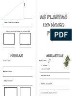 As Plantas Do Noso Patio