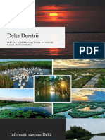 Proiect Delta Dunării - Carla.antonia - Petra