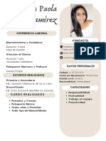 Curriculum Vitae CV Profesional Beige