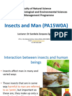 Insects & Man - INTRO