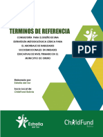 TDR_Consultoria_Diseno_Estrategia_Metodologia