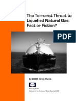 The terrorist theater to LNG