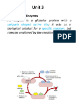 Bio G11 Unit 3 Enzymes PPX