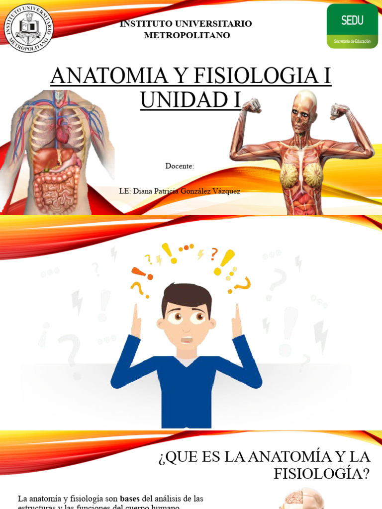 Anatomia Y Fisiologia I Pdf Gene Adn