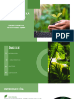 Presentación Ecología Fotografía Verde
